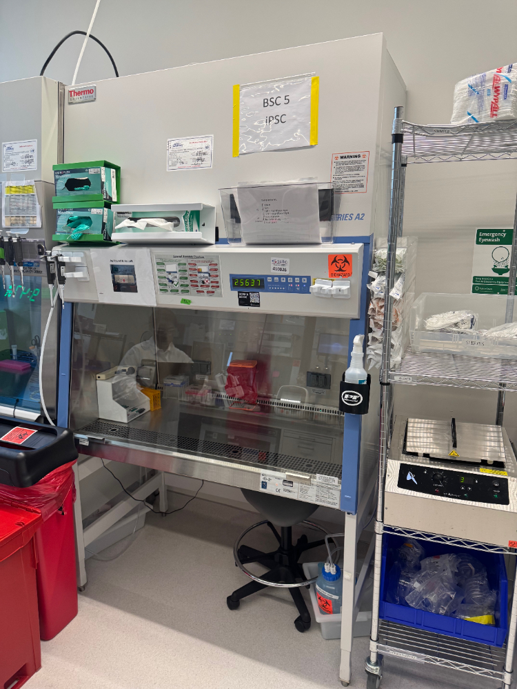 Image of Thermo 1300 Series A2 4' BioSafety Cabinet